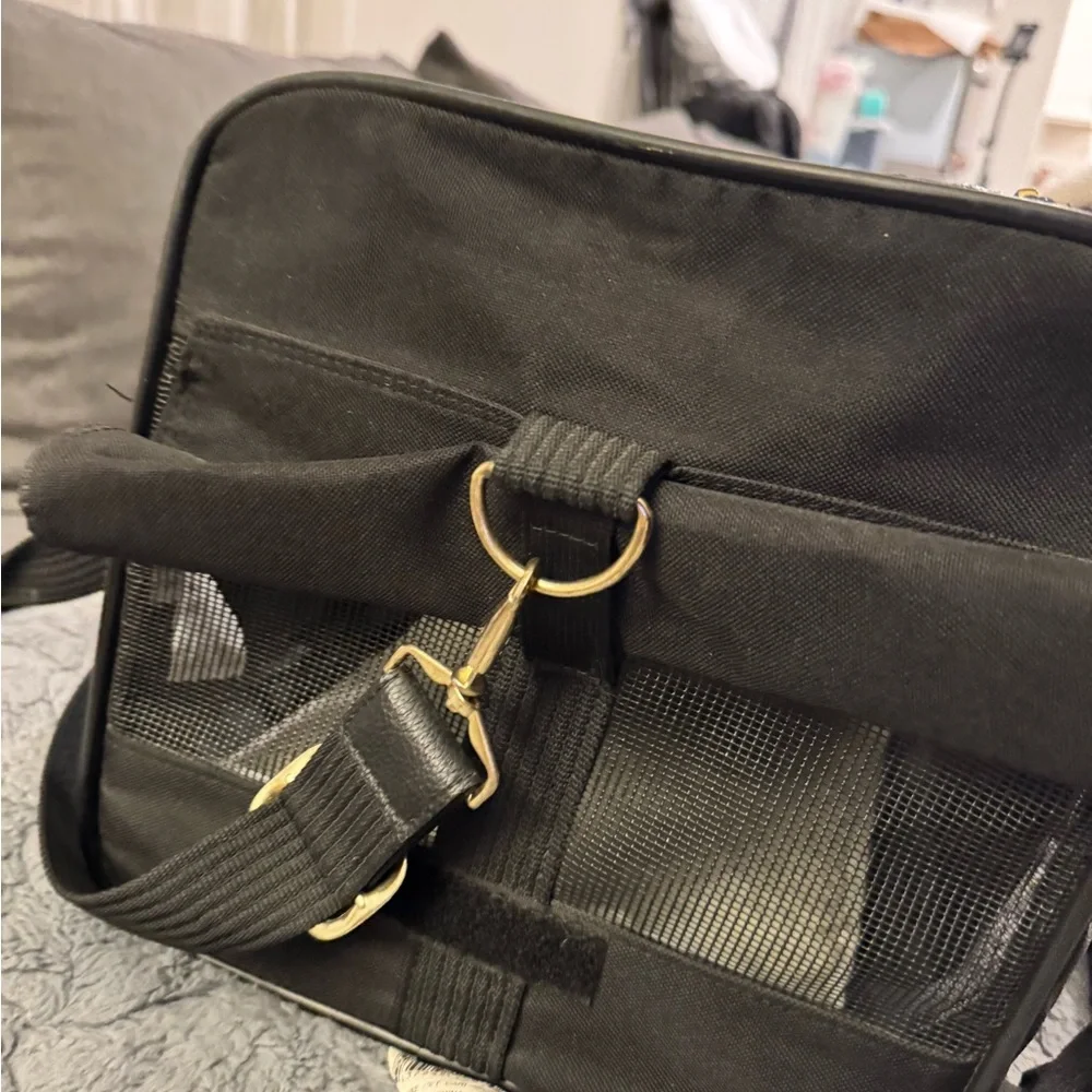Delta Black Mesh Pet Carrier